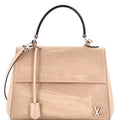 Louis Vuitton Cluny Top Handle Bag Epi Leather MM