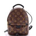 Palm Springs Backpack Monogram Canvas Mini