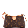 Louis Vuitton Delightful Pochette Monogram Canvas Mini