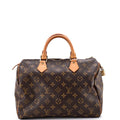 Speedy Handbag Monogram Canvas 30