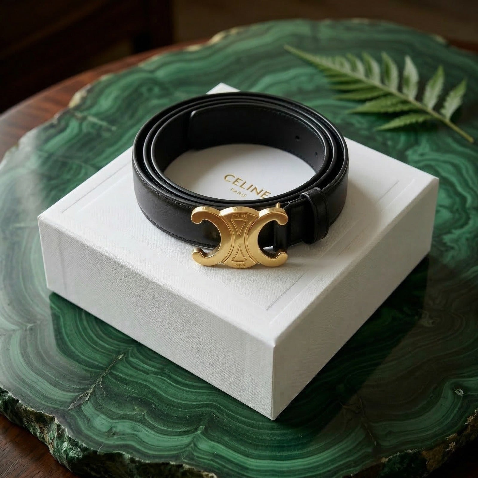 Celine Triomphe Medium Belt – Smooth Calfskin | Black & Gold