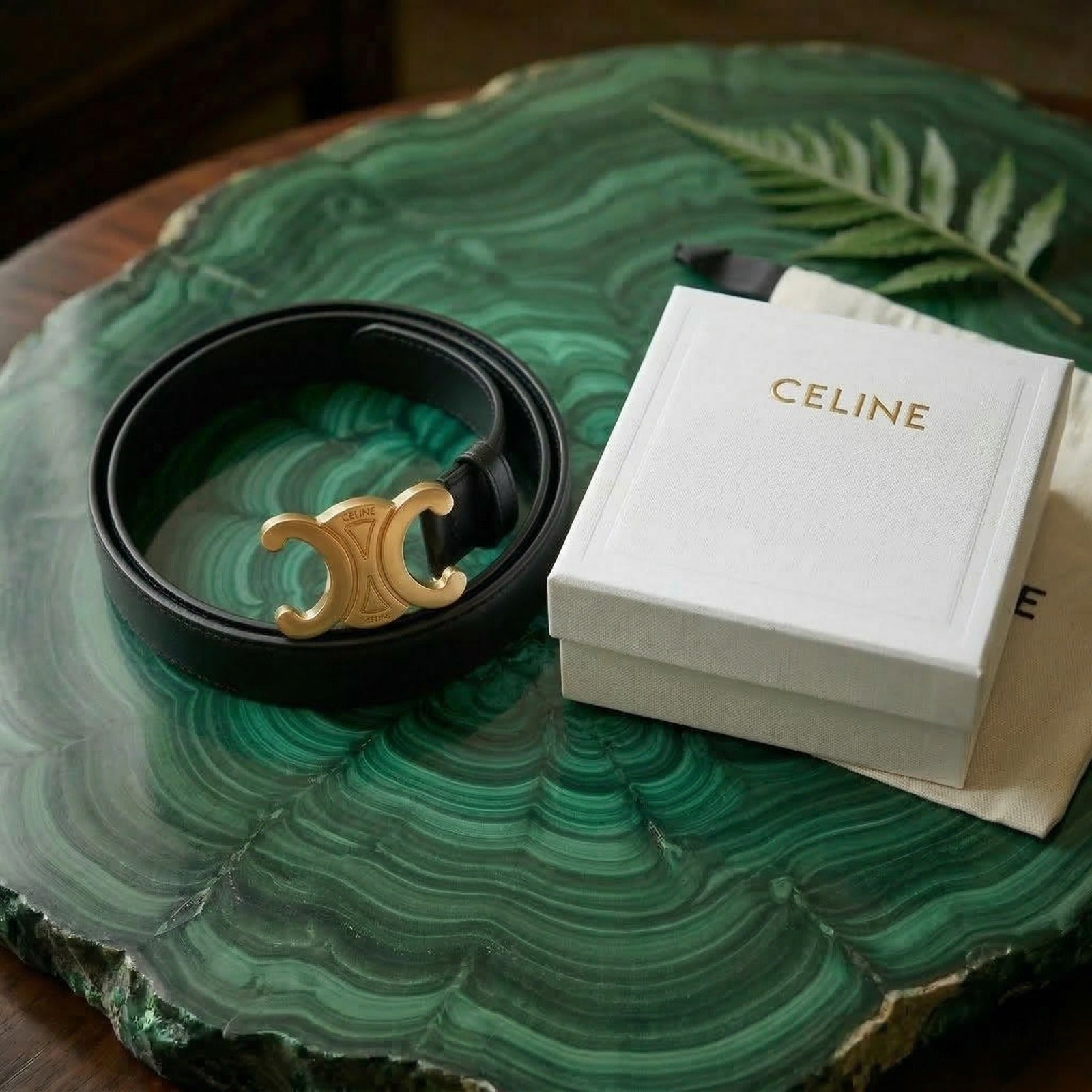 Celine Triomphe Medium Belt – Smooth Calfskin | Black & Gold